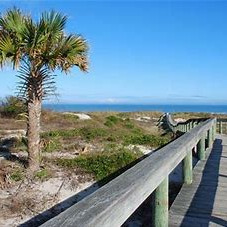 Fundraising Page: Francine Ffolkes